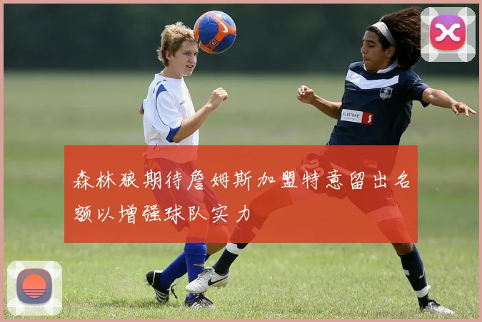 森林狼期待詹姆斯加盟特意留出名额以增强球队实力