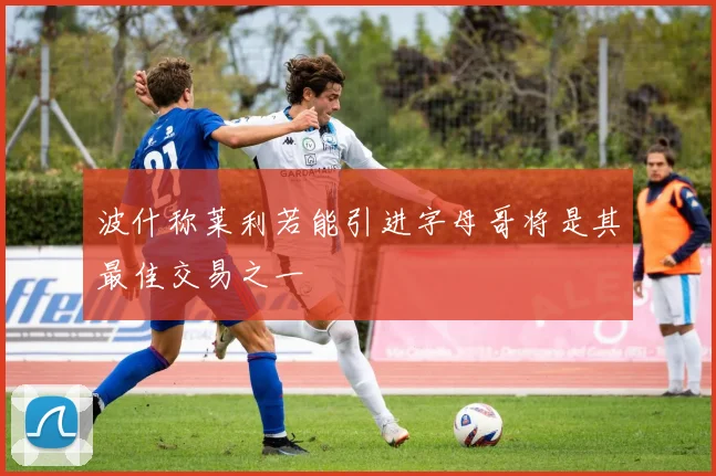 波什称莱利若能引进字母哥将是其最佳交易之一